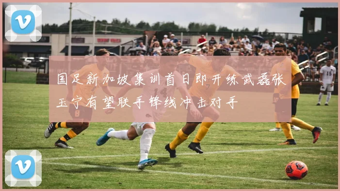 国足新加坡集训首日即开练武磊张玉宁有望联手锋线冲击对手
