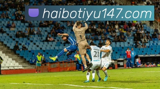 海博体育APP 高清赛事图